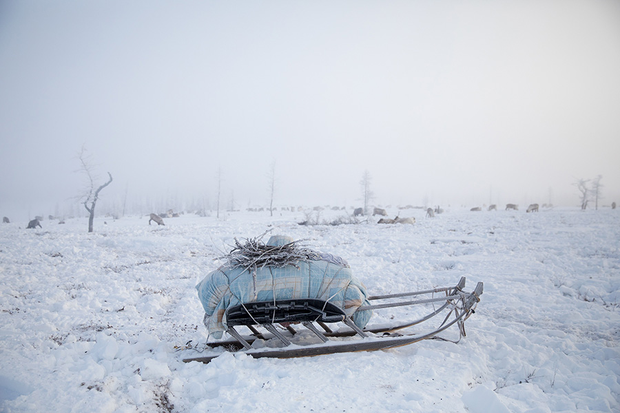 A packed sled, ready for migration