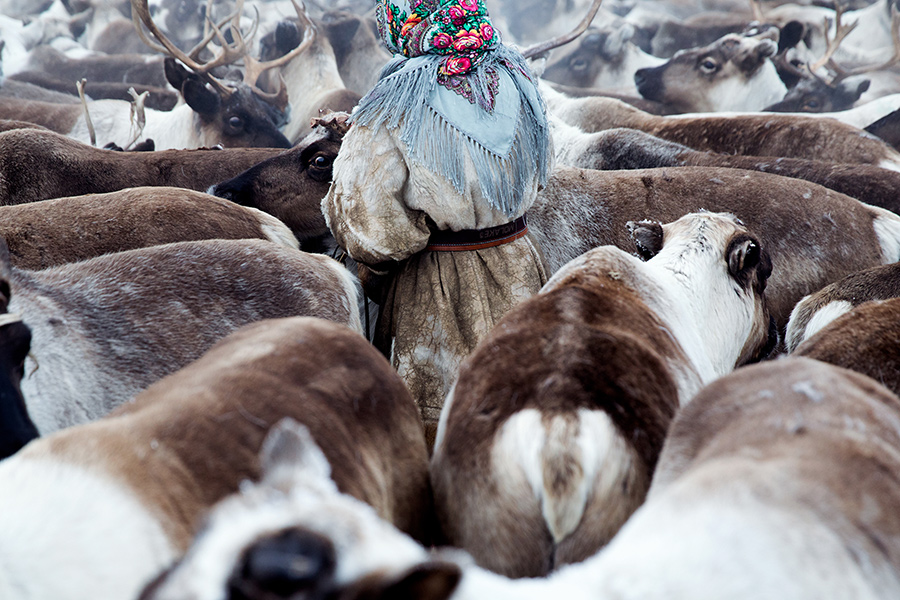 A young Nenets woman by photographer Oded Wagenstein